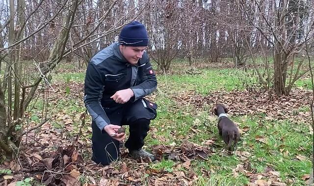 Trüffelsuche in der Fränkischen Schweiz mit Hunden Trüffelsuche in der Fränkischen Schweiz mit Hunden