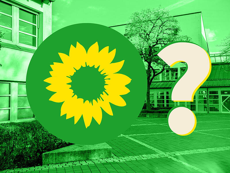 Collage Grüne Kreisverband Coburg Land/Landratsamt Coburg