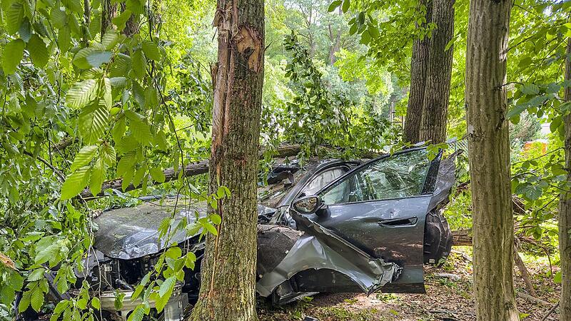 Forchheim: Autofahrer hinterlässt große Verwüstung - Bergung aufwendig Forchheim: Autofahrer hinterlässt große Verwüstung - Bergung aufwendig