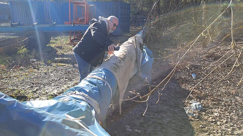 B&uuml;rgerbaum Bad Br&uuml;ckenau: Streit der Statiker