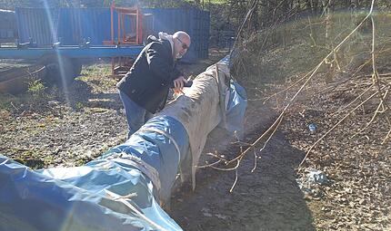 Bürgerbaum Bad Brückenau: Streit der Statiker Bürgerbaum Bad Brückenau: Streit der Statiker