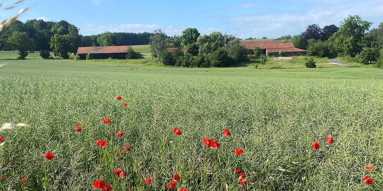 Ernstfarm Coburg soll doch verkauft werden