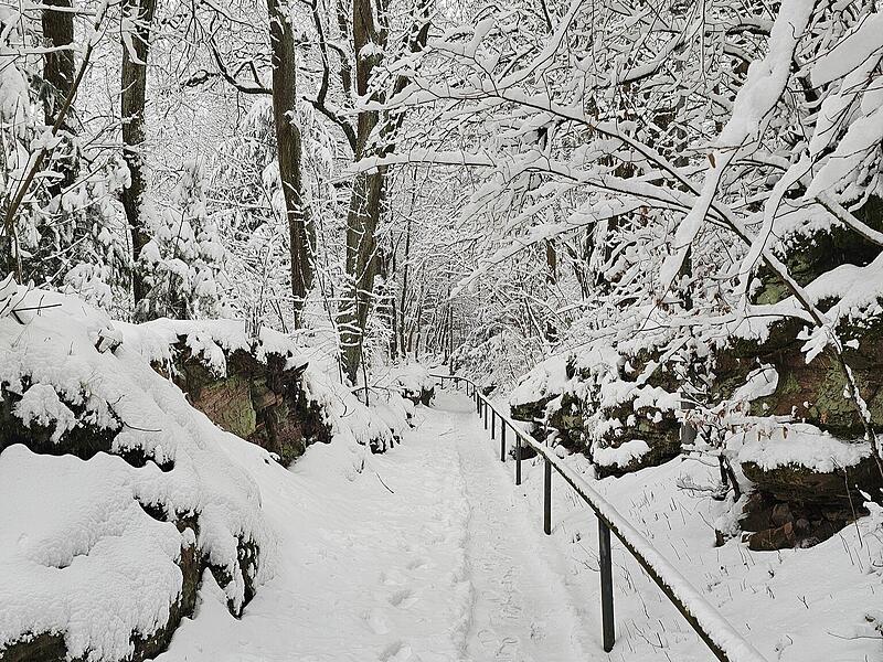 Schnee in Kulmbach: Die sch&ouml;nsten Leserfotos