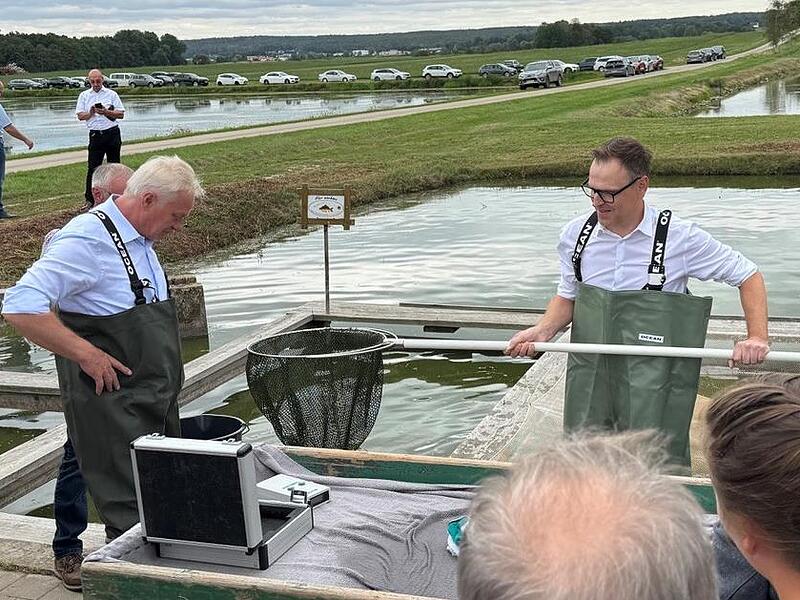 Bundeslandwirtschaftsminister Alois Rainer (l.) und Landrat Christian von Dobsch&uuml;tz (Neustadt/Aisch-Bad Windsheim) ziehen die ersten Karpfen der Saison aus dem Hallweiher bei Oberlindach.