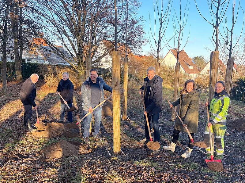 Projekt in Coburg: Mitglieder des Bürgervereins und Mitarbeitende des Grünflächenamts beim Pflanzen in Siebenlinden.