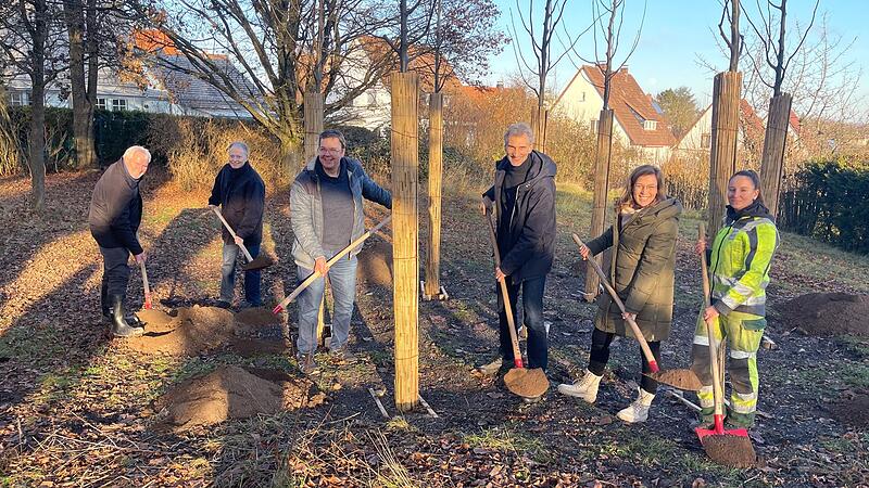 Siebenlinden Coburg Projekt in Coburg: Mitglieder des Bürgervereins und Mitarbeitende des Grünflächenamts beim Pflanzen in Siebenlinden.