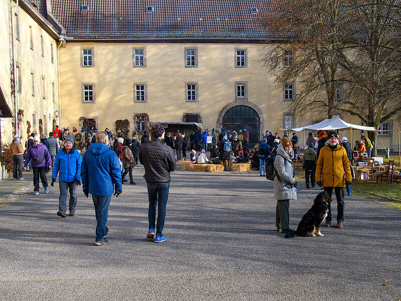 Fotoserie: 40. Bildhäuser Weihnachtsbasar