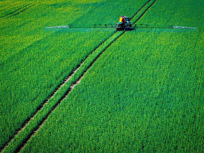 Pflanzenschutz auf Rapsfeld