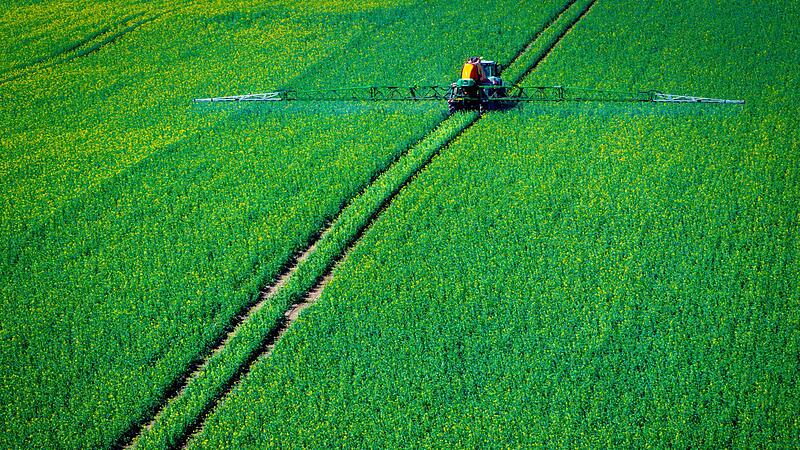 Pflanzenschutz auf Rapsfeld