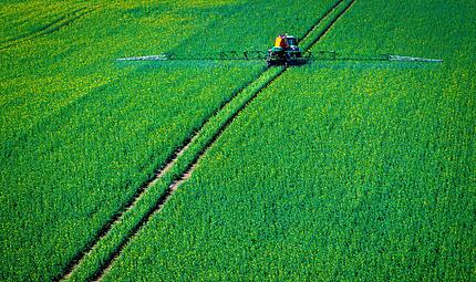 Pflanzenschutz auf Rapsfeld