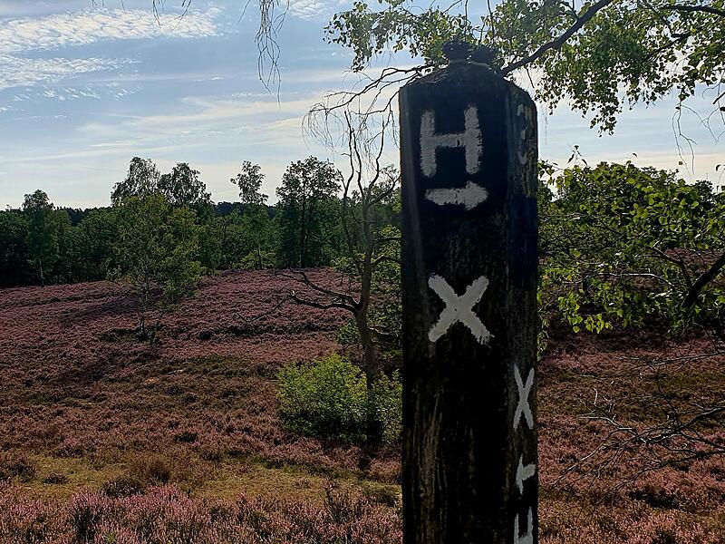 Impressionen aus der Fischbeker Heide