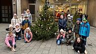 Falle Baum