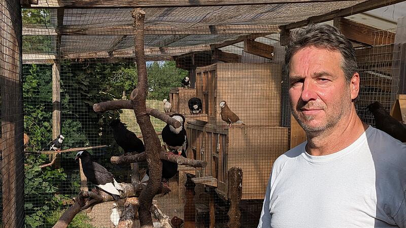 Taubenz&uuml;chter J&uuml;rgen Zimmermann aus Gundersreuth