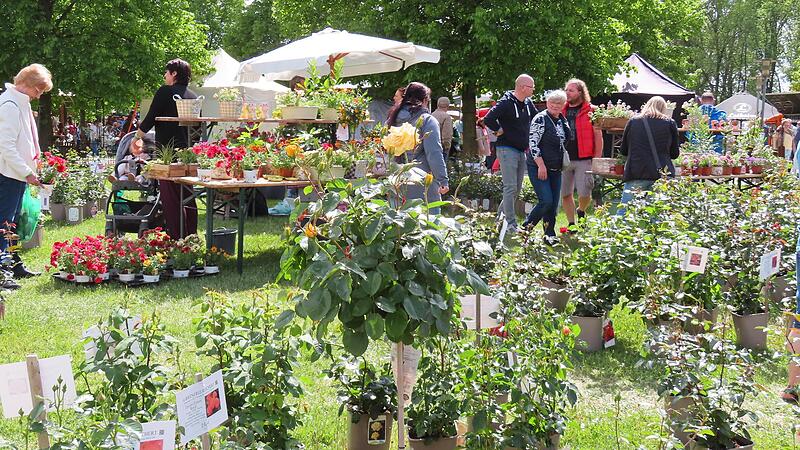 Rosen in H&uuml;lle und F&uuml;lle, in allen Farben, in allen Sorten - gleich vier Anbieter pr&auml;sentierten die &bdquo;K&ouml;nigin der Blumen&ldquo;.