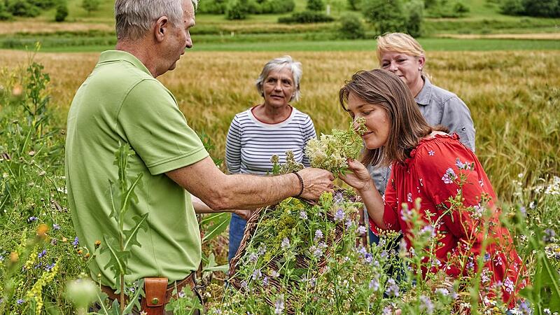 „Rausgehen, durchatmen, entdecken“ ist das Motto der Biosphärenwochen. Auf dem Programm stehen Führungen zu zahlreichen Themen, darunter auch Kräuterwanderungen. „Rausgehen, durchatmen, entdecken“ ist das Motto der Biosphärenwochen. Auf dem Programm stehen Führungen zu zahlreichen Themen, darunter auch Kräuterwanderungen.