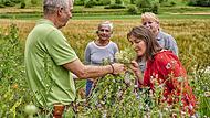 „Rausgehen, durchatmen, entdecken“ ist das Motto der Biosphärenwochen. Auf dem Programm stehen Führungen zu zahlreichen Themen, darunter auch Kräuterwanderungen. „Rausgehen, durchatmen, entdecken“ ist das Motto der Biosphärenwochen. Auf dem Programm stehen Führungen zu zahlreichen Themen, darunter auch Kräuterwanderungen.