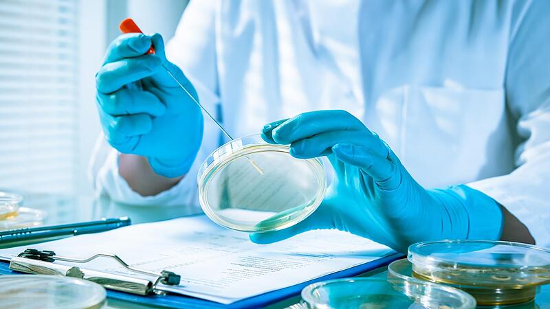 Ein Forscher arbeitet im Labor mit einer mit Bakterien besiedelten Agarplatte. Wissenschaftler, wie auf diesem Symbolfoto zu sehen, setzen sich f&uuml;r bessere Arbeitsbedingungen ein &ndash; auch in Erlangen.