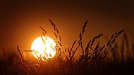 Sommerliches Wetter