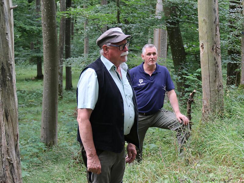 Revierleiter Markus Söder und der ehemalige Staatsforstleiter Wolfram Zeller geben bei einer Exkursion des Gemeinderates Einblicke in aktuelle und geplante Maßnahmen.