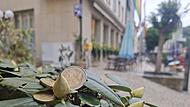 Haushalt Bad Brückenau. Konsolidierungskonzept Stadtkasse Haushalt Bad Brückenau. Konsolidierungskonzept Stadtkasse