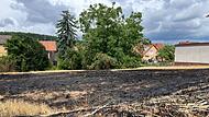 Grünfläche in Brand