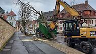 Am Bamberger Michelsberg sind nun drei Kastanien gefällt worden.