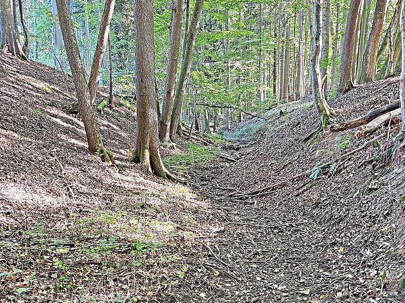 Der Steingraben ist ausgetrocknet.Forchheim & Fränkische Schweiz Der Steingraben ist ausgetrocknet.Forchheim & Fränkische Schweiz