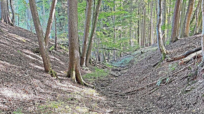 Der Steingraben ist ausgetrocknet. Hildegund FischerForchheim & Fr&auml;nkische Schweiz