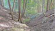 Der Steingraben ist ausgetrocknet. Hildegund FischerForchheim & Fr&auml;nkische Schweiz
