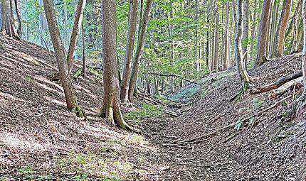 Der Steingraben ist ausgetrocknet.Forchheim & Fr&auml;nkische Schweiz