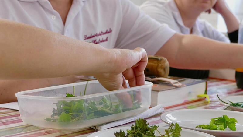 Wildkräuter passen perfekt zur pikanten Variante des Hefegebäcks.