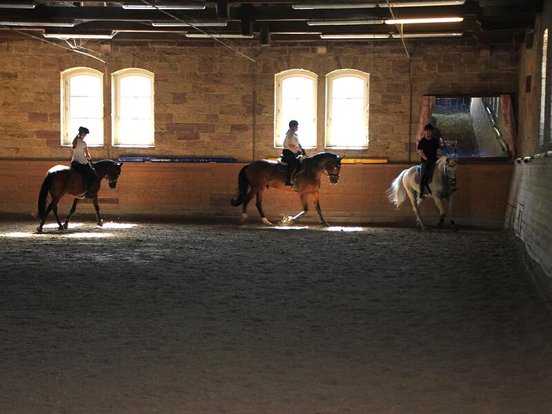 Probe Quadrille