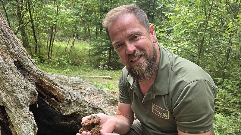 Volker Bauer kann sich f&uuml;r die kleinsten Lebewesen begeistern. "In dieser Handvoll verrotteter Baummasse sind mehr Lebewesen als Menschen in der Rh&ouml;n."