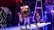 „The Masked Singer“ „The Masked Singer“