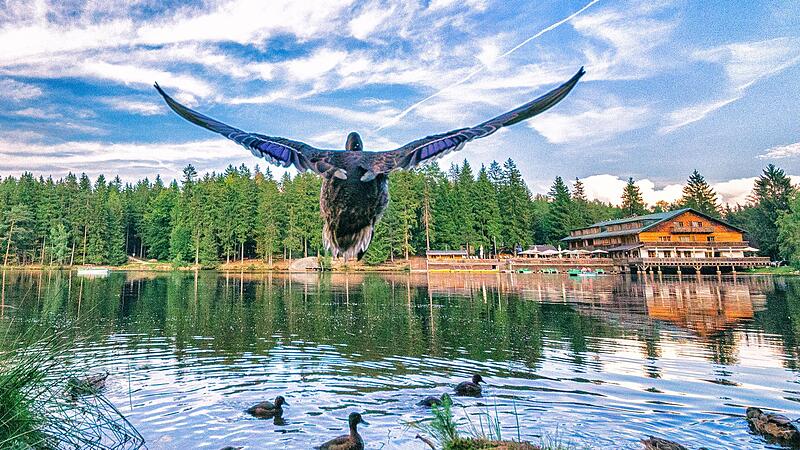 Wem der Fichtelsee zu kalt ist, der kann ihn auch mit dem Boot erkunden. Wem der Fichtelsee zu kalt ist, der kann ihn auch mit dem Boot erkunden.
