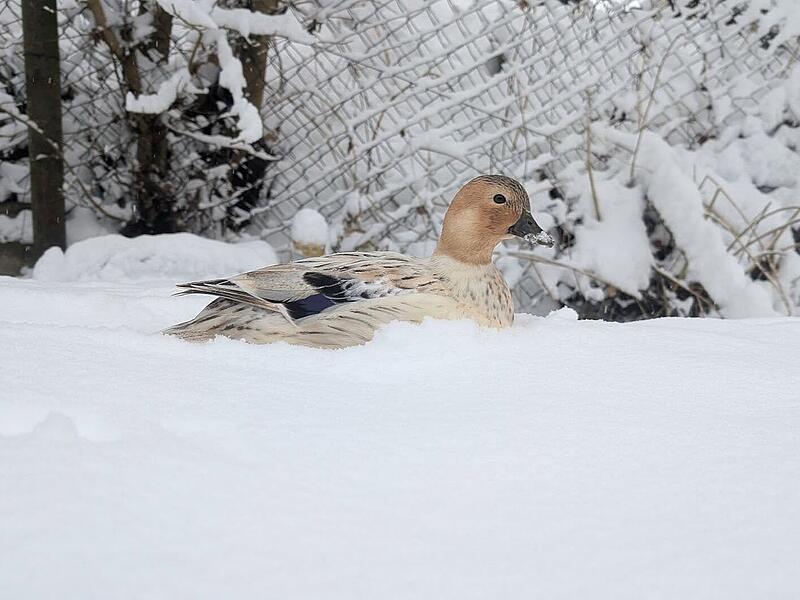Schnee in Kulmbach: Die sch&ouml;nsten Leserfotos