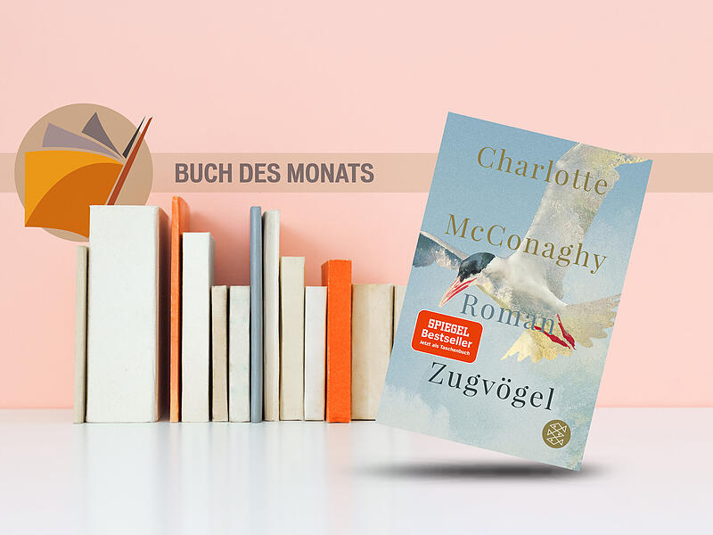 Charlotte McConaghys Deb&uuml;t &bdquo;Zugv&ouml;gel&ldquo; ist der Buchtipp des Monats SeptemberDer Annafest-Umzug in Forchheim 2022