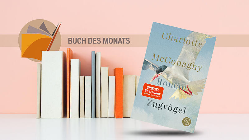 Charlotte McConaghys Debüt „Zugvögel“ ist der Buchtipp des Monats SeptemberDer Annafest-Umzug in Forchheim 2022 Charlotte McConaghys Debüt „Zugvögel“ ist der Buchtipp des Monats SeptemberDer Annafest-Umzug in Forchheim 2022