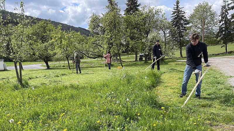 Rhythmisches Arbeiten in der Natur erdet und macht Spa&szlig; &ndash; nur ein Vorteil, den die Arbeit mit der Sense hat.