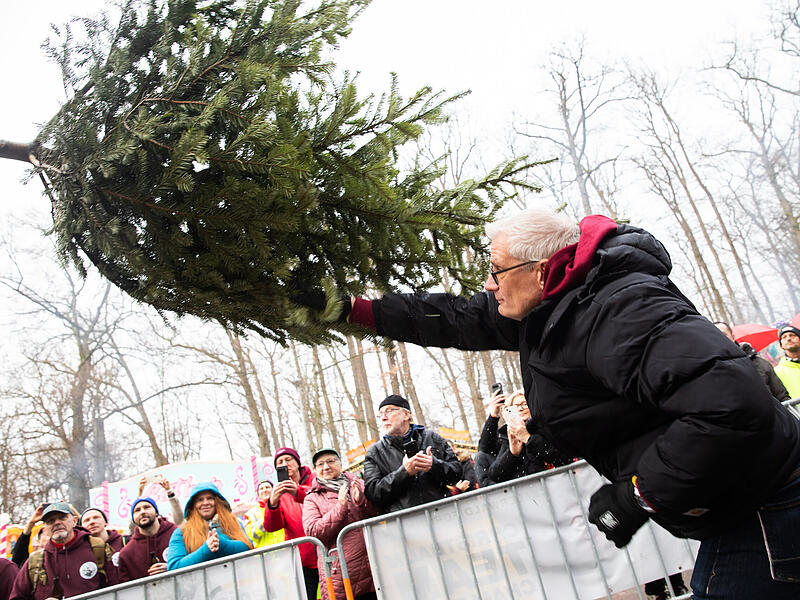 Winterzauber Forchheim SamstagWinterzauber Forchheim Samstag