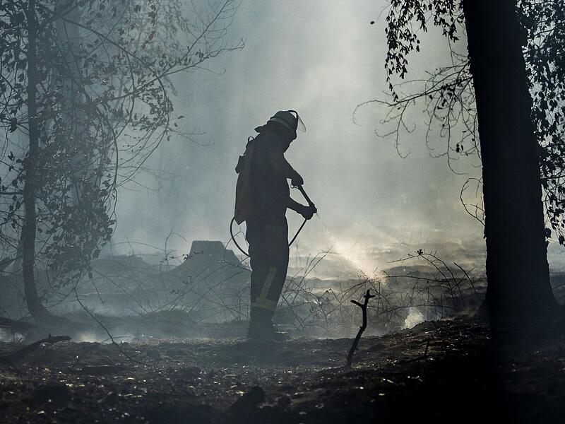 Waldbrand in Hessen