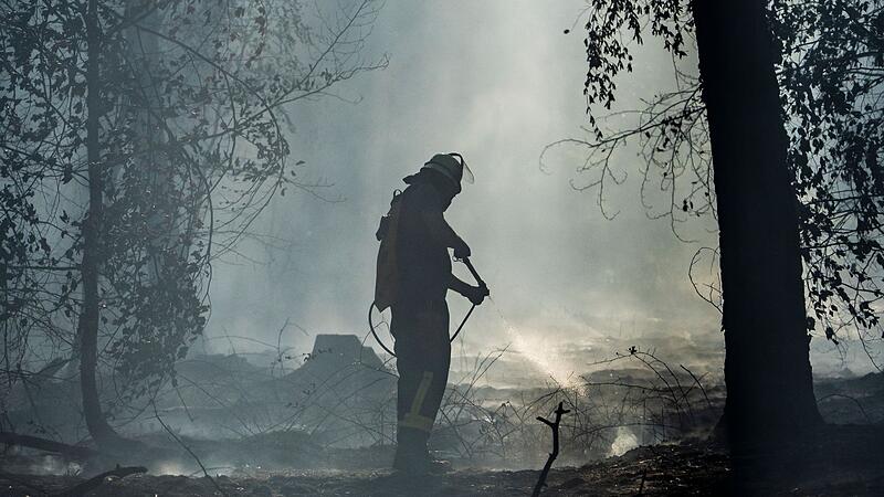 Waldbrand in Hessen Waldbrand in Hessen