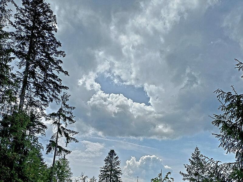 Leserfotos: So sch&ouml;n ist der Sommeranfang im FrankenwaldLeserfotos: So sch&ouml;n ist der Sommeranfang im Frankenwald