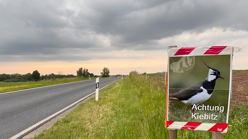 Kiebitz-Warnschild in der N&auml;he von Melkendorf