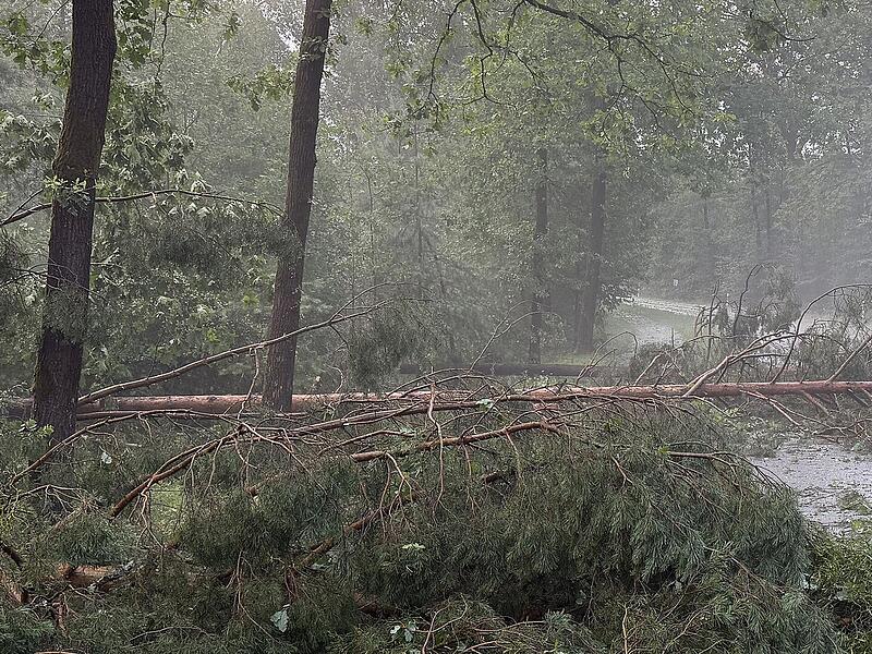 Heroldsberg: Unwetter fordert Verletzten Heroldsberg: Unwetter fordert Verletzten
