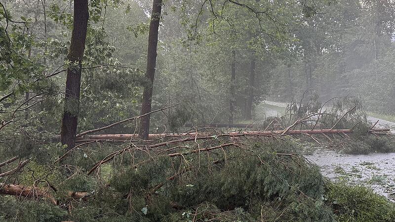 Heroldsberg: Unwetter fordert Verletzten Heroldsberg: Unwetter fordert Verletzten
