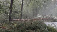Heroldsberg: Unwetter fordert Schwerverletzten