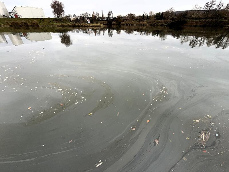 Der Ölschleier erstreckte sich im Bamberger Hafen auf rund 400 Quadratmetern. Der Ölschleier erstreckte sich im Bamberger Hafen auf rund 400 Quadratmetern.