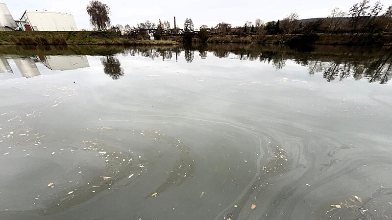 Der Ölschleier erstreckte sich im Bamberger Hafen auf rund 400 Quadratmetern. Der Ölschleier erstreckte sich im Bamberger Hafen auf rund 400 Quadratmetern.