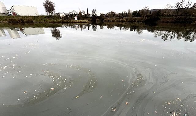 Der Ölschleier erstreckte sich im Bamberger Hafen auf rund 400 Quadratmetern. Der Ölschleier erstreckte sich im Bamberger Hafen auf rund 400 Quadratmetern.